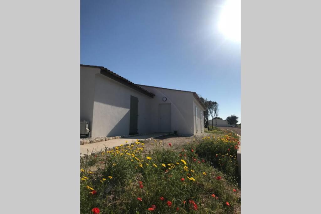 Bonifacio 3Mn Du Port! Villa Piscine Chauffee ,Clim,Wifi Eksteriør billede